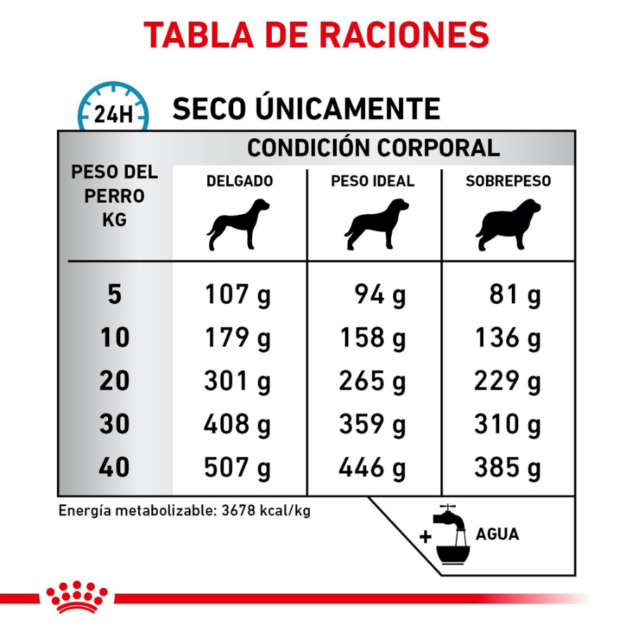 Royal Canin Anallergenic Royal Canin Anallergenic
